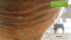 20200410_163947.jpg (1.65 MiB) 5611 mal betrachtet Achsel