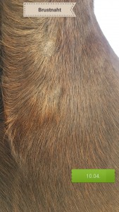 20200410_164030.jpg (2.35 MiB) 5611 mal betrachtet Brustnaht