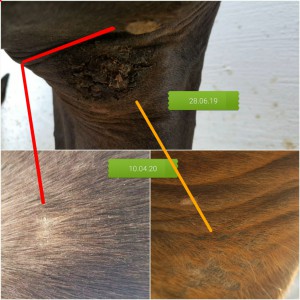 2020041016483600.jpg (902.57 KiB) 5611 mal betrachtet Vorher-Nachher-Bild