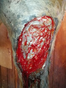 IMG_20200220_162529.jpg (3.71 MiB) 3008 mal betrachtet Am Tag der OP