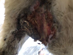 Bild 10.jpg (59.94 KiB) 2865 mal betrachtet Bild 10