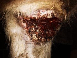 Bild 11.jpg (3.01 MiB) 2865 mal betrachtet Bild 11