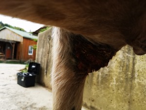 Bild 14.jpg (1.87 MiB) 2865 mal betrachtet Bild 14