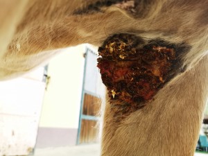 Bild 15.jpg (2.43 MiB) 2865 mal betrachtet Bild 15