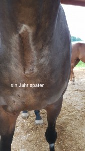 3erP_jetzt.jpg (1.69 MiB) 4675 mal betrachtet Zustand heute