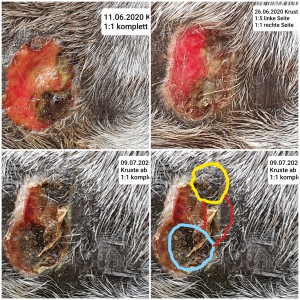 20200709_113007.jpg (1.43 MiB) 2725 mal betrachtet Verlauf der letzten Wochen