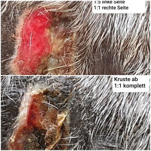 20200709_113114.jpg (936.53 KiB) 2725 mal betrachtet direkter Vergleich