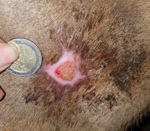 20210110_201913.jpg (2.51 MiB) 1737 mal betrachtet 10.01.2021 - 47 Tage COMPX - 30 Tage Schmierpause