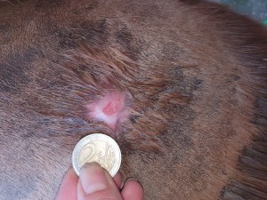 20210124_140258.jpg (9.32 MiB) 1888 mal betrachtet 24.01.2021 - 61 Tage COMPX - 44 Tage Schmierpause