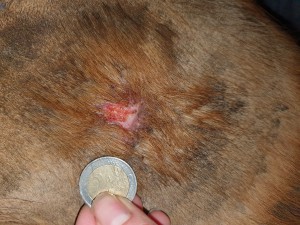 20210204_173536.jpg (9.44 MiB) 1848 mal betrachtet Hier ein Foto von heute