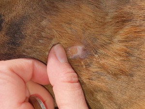 20210213_152841.jpg (9.45 MiB) 1799 mal betrachtet 13.02.2021 - 81 Tag COMPX - 65 Tage Schmierpause