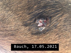 Sarkoid Bauch-2021-05-17.jpeg