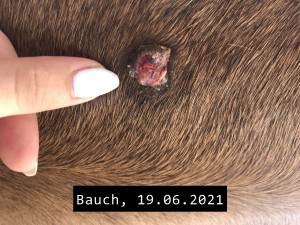 Sarkoid Bauch-2021-06-19.jpeg