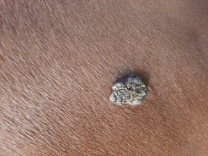 20210710_095508.jpg