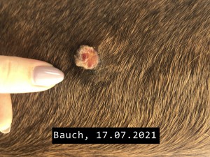 Sarkoid Bauch-2021-07-17.jpeg