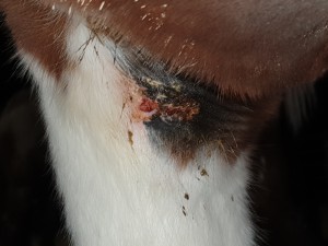 20211121_174158.jpg (2.88 MiB) 1829 mal betrachtet Achsel 21.11.