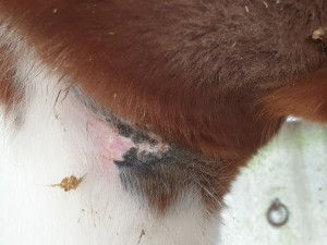 20211211_103233.jpg (2.48 MiB) 1727 mal betrachtet Achsel 11.12.