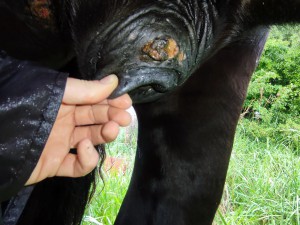 IMG_20230507_175940.jpg (3.08 MiB) 1915 mal betrachtet Stand 07.05.2023 Schlauch