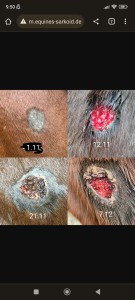 Screenshot_2023-06-28-09-50-10-374_com.android.chrome.jpg (1.2 MiB) 1734 mal betrachtet Hals