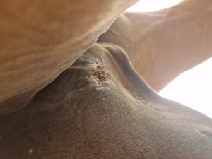 Nach drei Wochen compx