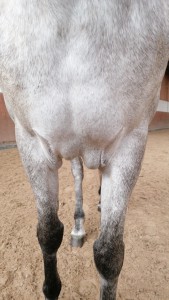 IMG-20230729-WA0000.jpeg (1.18 MiB) 2309 mal betrachtet Schwellung