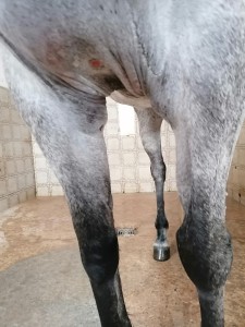 IMG_20230804_085657.jpg (2.66 MiB) 2309 mal betrachtet Nach 1. TA Besuch