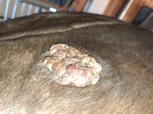 20230908_185117.jpg