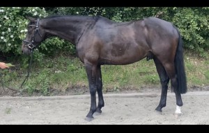8C247521-9E38-4D8F-AB96-AABA0FC08E27.jpeg (157.29 KiB) 891 mal betrachtet Rippenbereich 19.07.2023