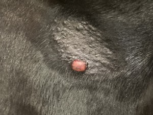 15.09. Behandlungsbeginn