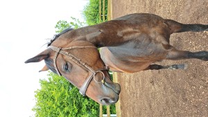 20230901_164454.jpg (4.8 MiB) 2493 mal betrachtet Mein persönliches Sparschwein