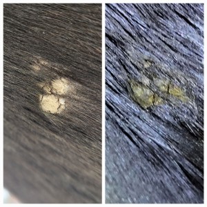 20231203_060722.jpg (834.34 KiB) 2111 mal betrachtet Vergleich Start - jetzt